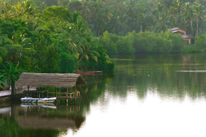 Отдых на озерах Шри-Ланки